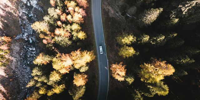 Camper auf idyllischer Straße durch einen Wald im Herbst mit der Drohne fotografiert