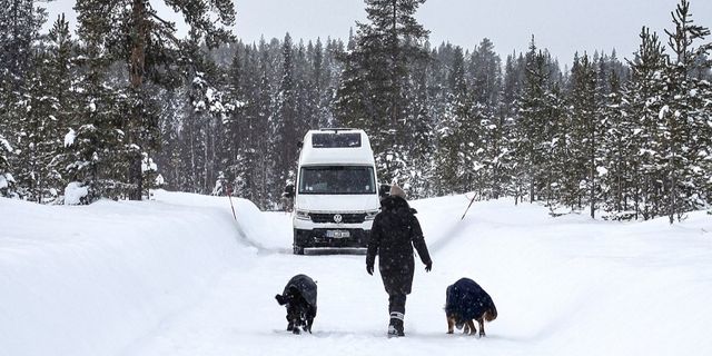 VW Grand Grand California im Schnee