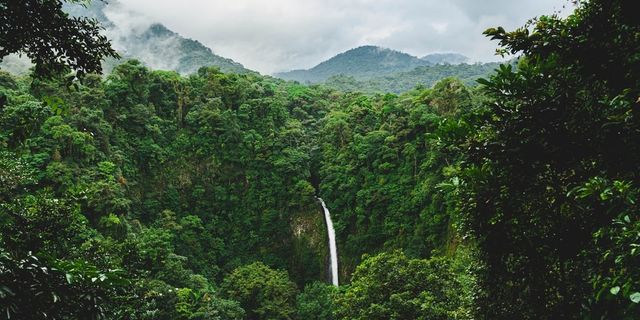 Blick auf einen Wasserfall umgeben von Bäumen 