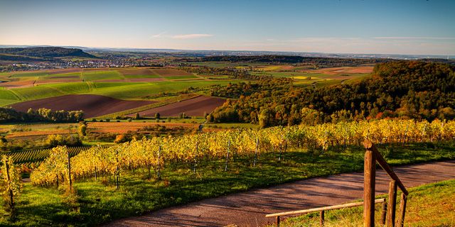 Weinberge in Baden-Württemberg