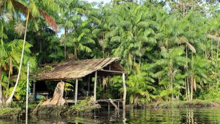 Kleine Hütte aus Palmenblätter gebaut an einem Fluss