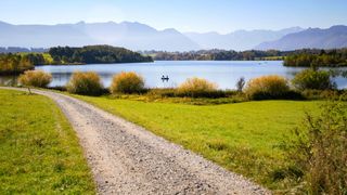 Ein Abschnitt des Riegseerundwegs direkt am Ufer entlang, der am Campingplatz Camping Brugger am Riegsee beginnt