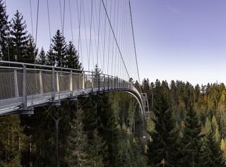 Hängebrücke im Wald