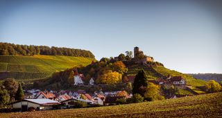 Burg und Weinberge in Baden-Württemberg