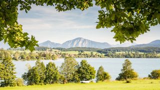 Blick durch Blätter hindurch auf den schönen Riegsee im Landkreis Garmisch Partenkirchen mit den Bergen und einigen Häusern im Hintergrund