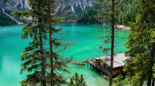 Blick durch Bäume hindurch auf einen Bergsee.