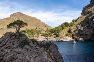 Spanish coast with nice trees