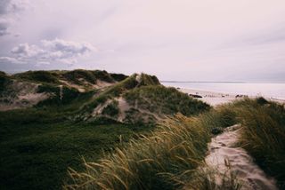 Beach in Skagen in Denmark