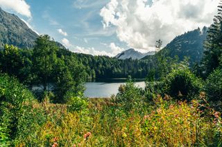 See im Allgäu 