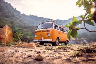 Organgener VW Bulli im Wald