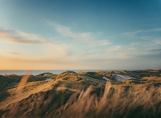 Dune landscape in denmark